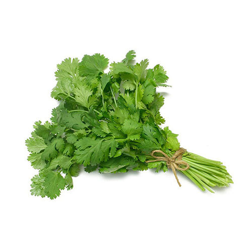 Coriander (Hara Dhaniya)