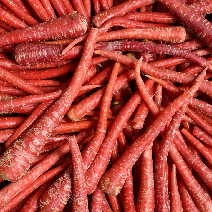 Carrot (Desi Gajar)