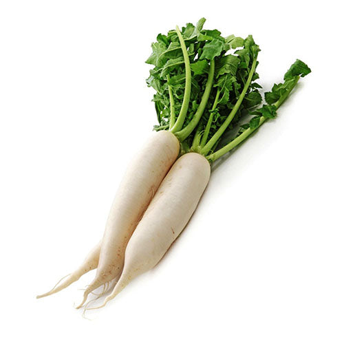 White Radish (Mooli)