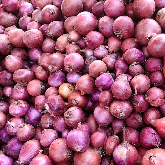 Onion (Pyaaz)