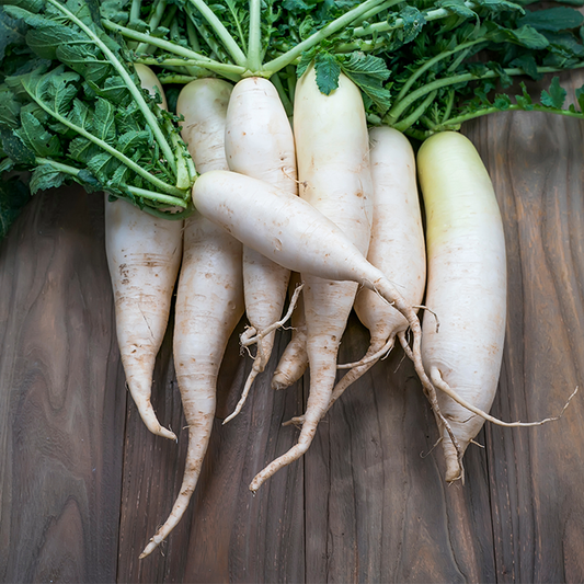 White Radish (Mooli)