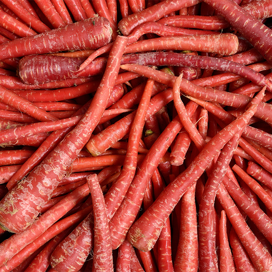 Carrot (Desi Gajar)