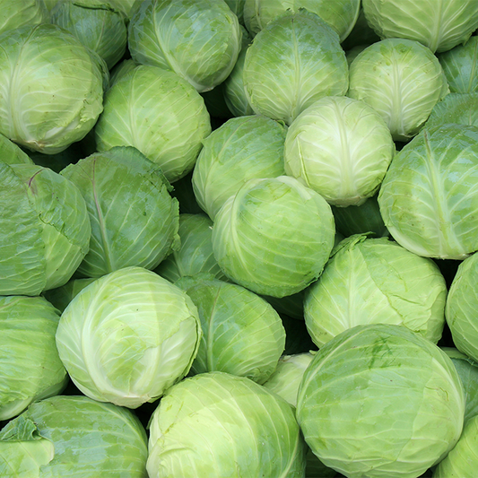 Cabbage (Patta Gobhi)