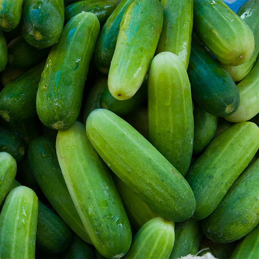 Cucumber (Kheera)