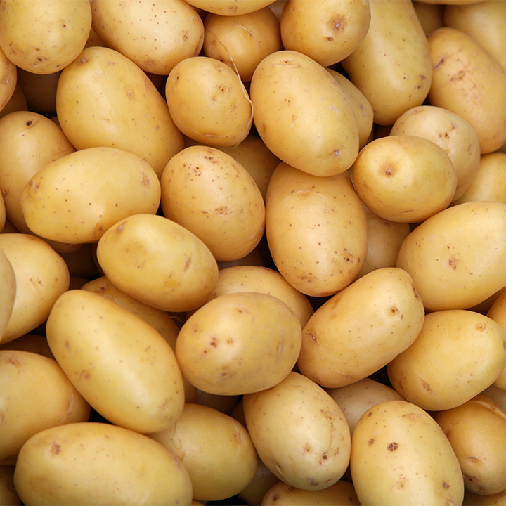 Potato 3797 (Aloo)