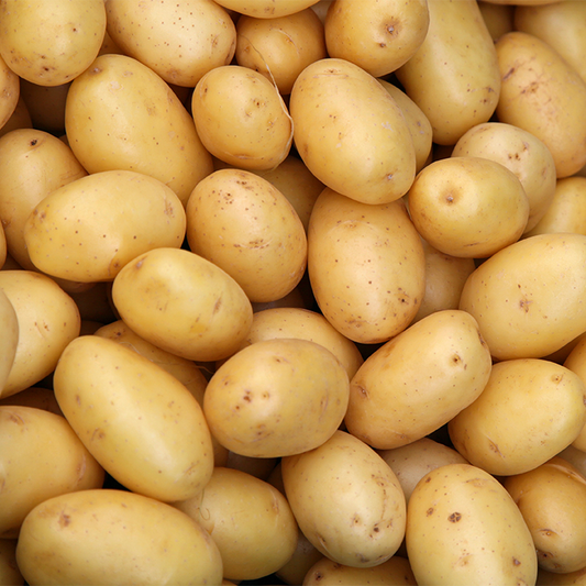 Potato 3797 (Aloo)