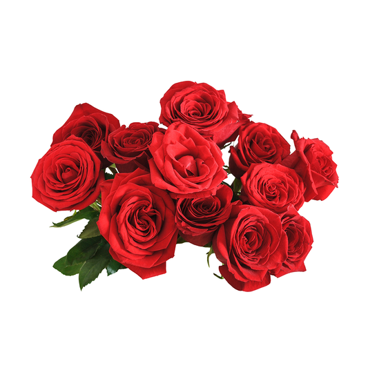 Roses