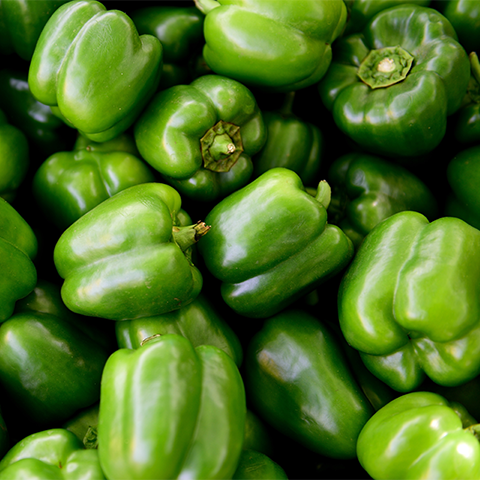 Capsicum (Shimla Mirch)